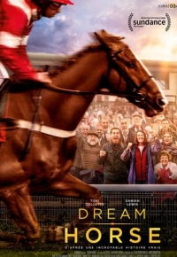 Dream Horse (2021) streaming