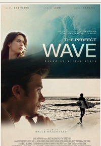 The Perfect Wave (2015)