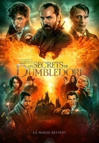 Les Animaux Fantastiques 3 : Les Secrets de Dumbledore (2022) streaming