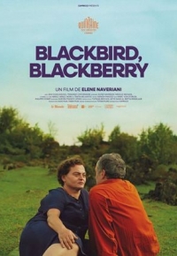 Blackbird, Blackberry (2023) streaming